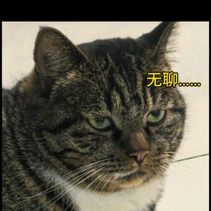 读者头像