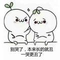 陆敬元头像