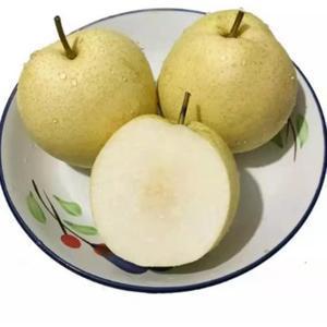 电脑E族头像