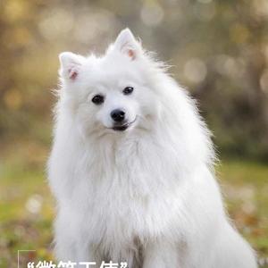开心就好头像