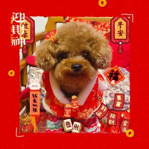 嘉宝的可愛日常头像