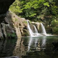 xiaowenchong123头像