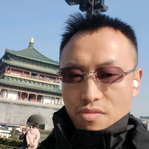 陈仓老虎头像