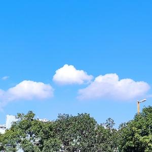 闲人阿阳头像