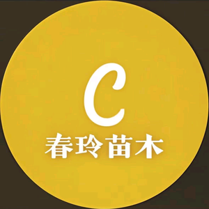 春玲苗木头像