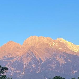 巴咔06头像