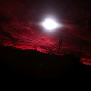 dy14rfsxmpsd头像