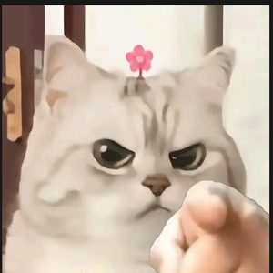 喵了个咪头像