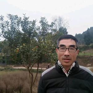 闪闪红星1d7i头像