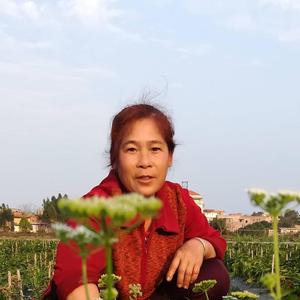 林大妹子头像