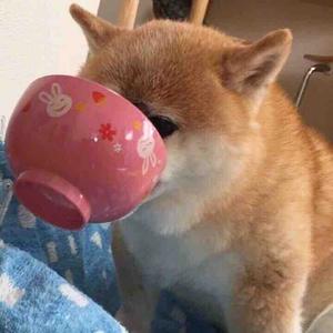 是八月啊头像