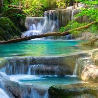 只爱这一生一世头像