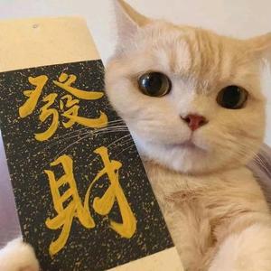 别动我西瓜啊头像