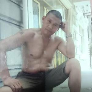 东北独行狼在杭州头像