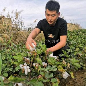 江南头像