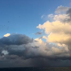 克拉蒂尼头像