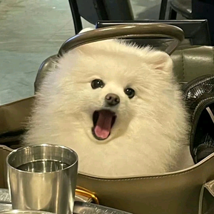 上班赚钱抖音花头像
