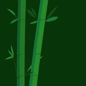 bamboo头像