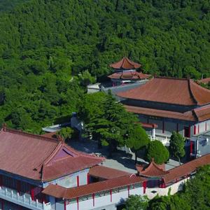 可靠青青河边草头像