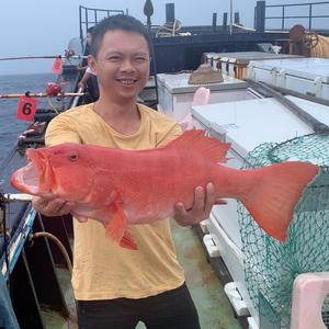 琼嘉海钓一山猫头像