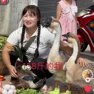 莲妹妹（已瘦40斤）头像