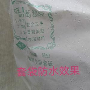 旺果水果套袋头像