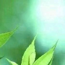 名字头像