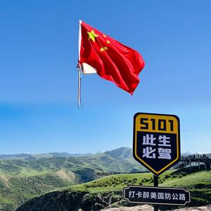 波哥头像