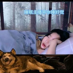 标哥助眠头像