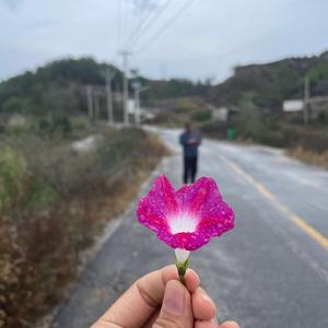 战国君头像