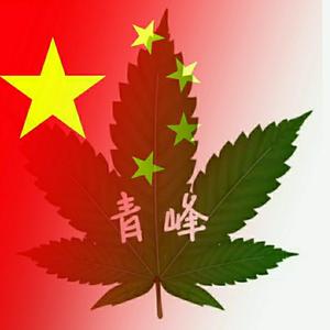 青峰在努力头像