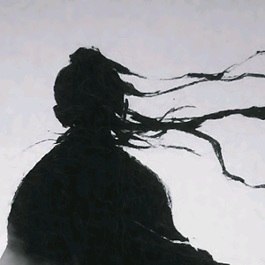 观史鉴头像