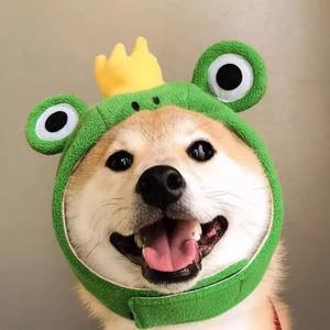 郑漂王老二说剧头像
