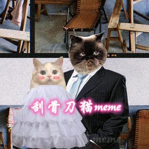 刮骨刀猫meme头像