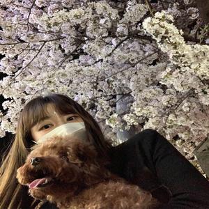 养猪少女微微头像