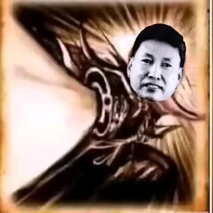 polpot.history头像