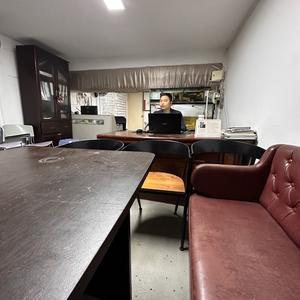 进取执着的金桔