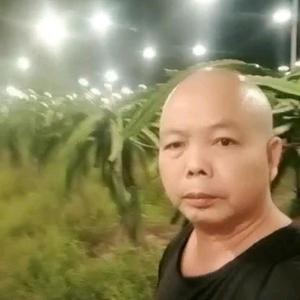 雨隹情感音乐头像