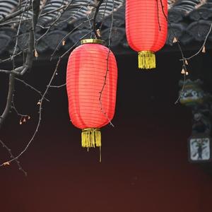 剪刀手拉菲头像