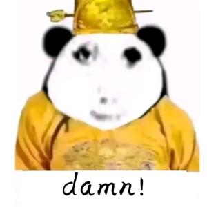 白昼DAY头像