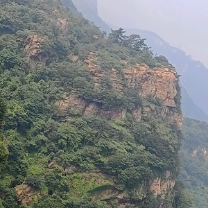 好久没有散步了，有一起的吗头像