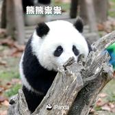 披荆斩棘的哔哔头像
