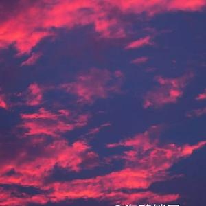 是你德花哥头像