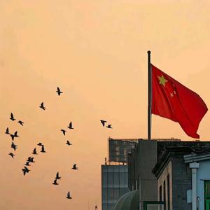 ：TiAmo头像