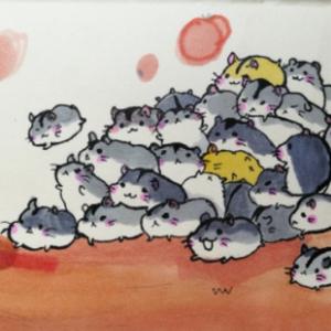 哎米鲤周头像