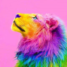 Rainbow彩虹狮头像