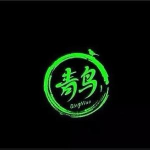 青鸟简科头像