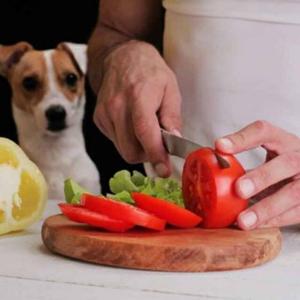 食寓头像