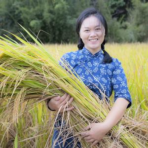 客家放牛妹头像