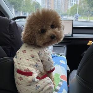 简单快乐头像